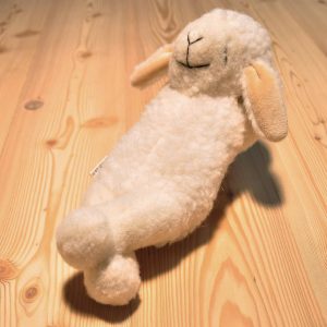 Lamm schlafend